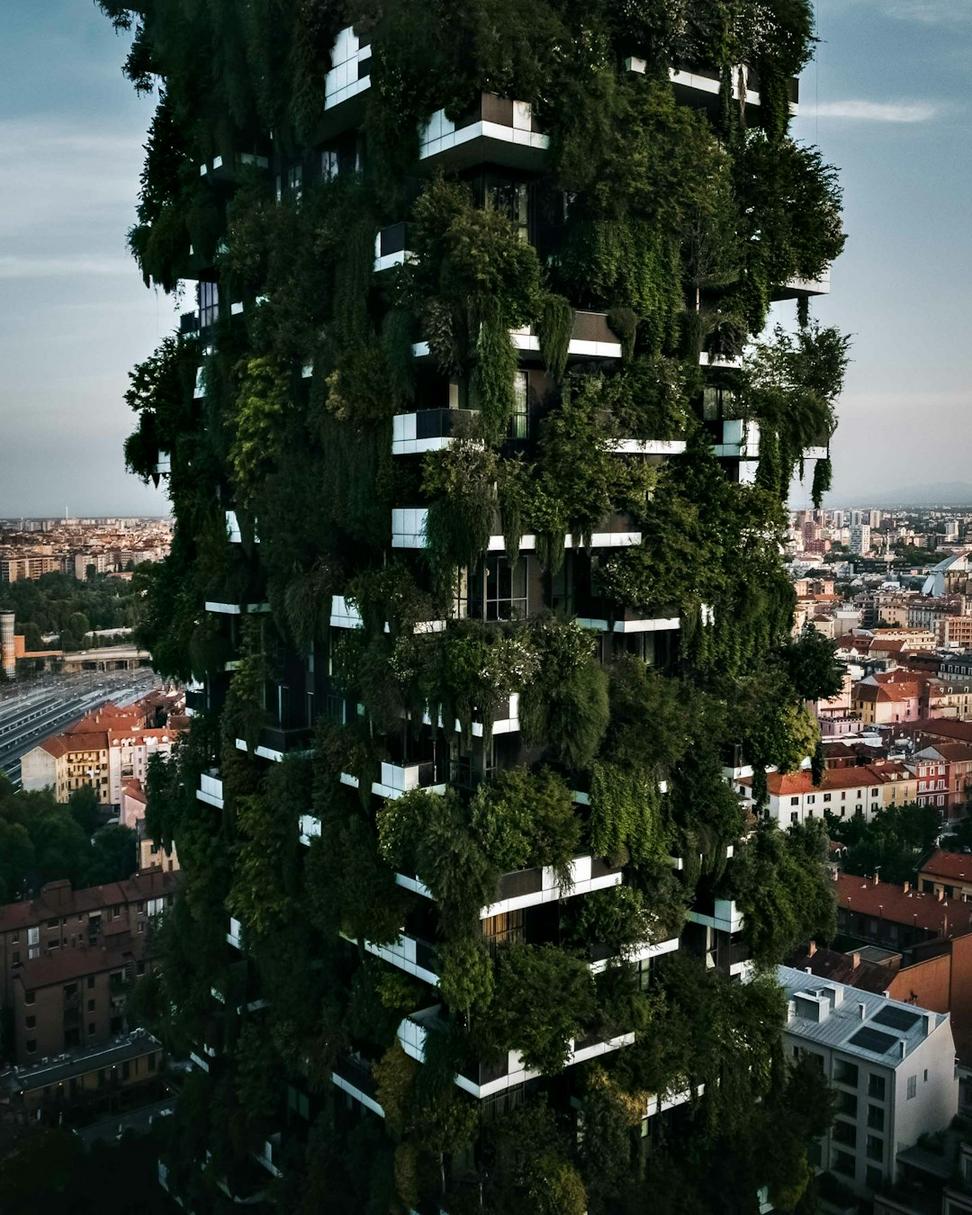 Aurora Community Hub